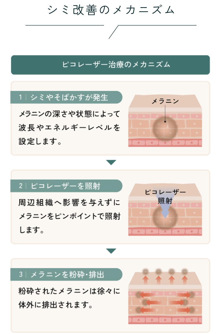 メカニズム図