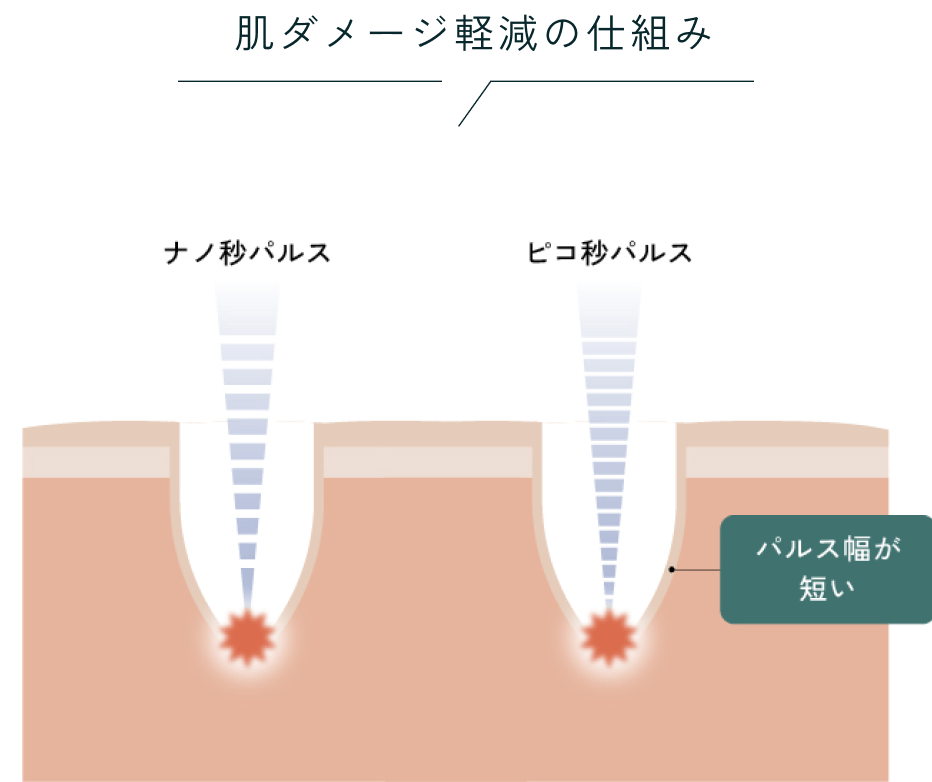 肌のダメージ軽減の仕組み